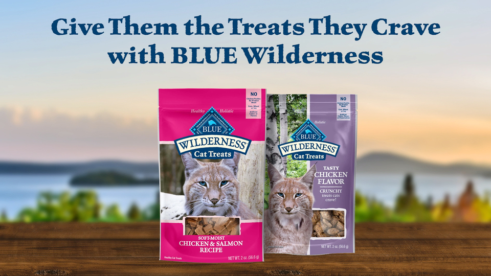 thumbnail video image 2 of Blue Buffalo Wilderness High Protein Natural Crunchy Cat Treats, Tasty Chicken, 2-oz. Bag, 2 of 10
