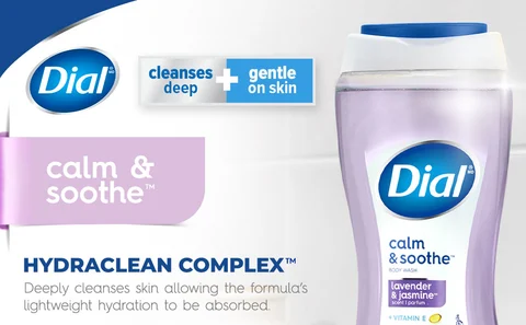 Dial Body Wash, Lavender Jasmine Scent, 16 fl oz Meijer