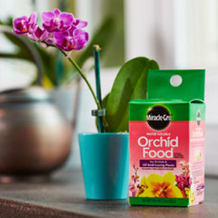 thumbnail video image 2 of Miracle-Gro Water Soluble Orchid Food, 8 oz., For All Acid-Loving Plants, 2 of 12
