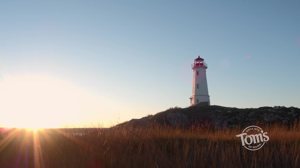thumbnail video image 2 of Tom's of Maine Natural Antiperspirant Deodorant for Women, Coconut Lavender, 2.25 oz., 2 of 12