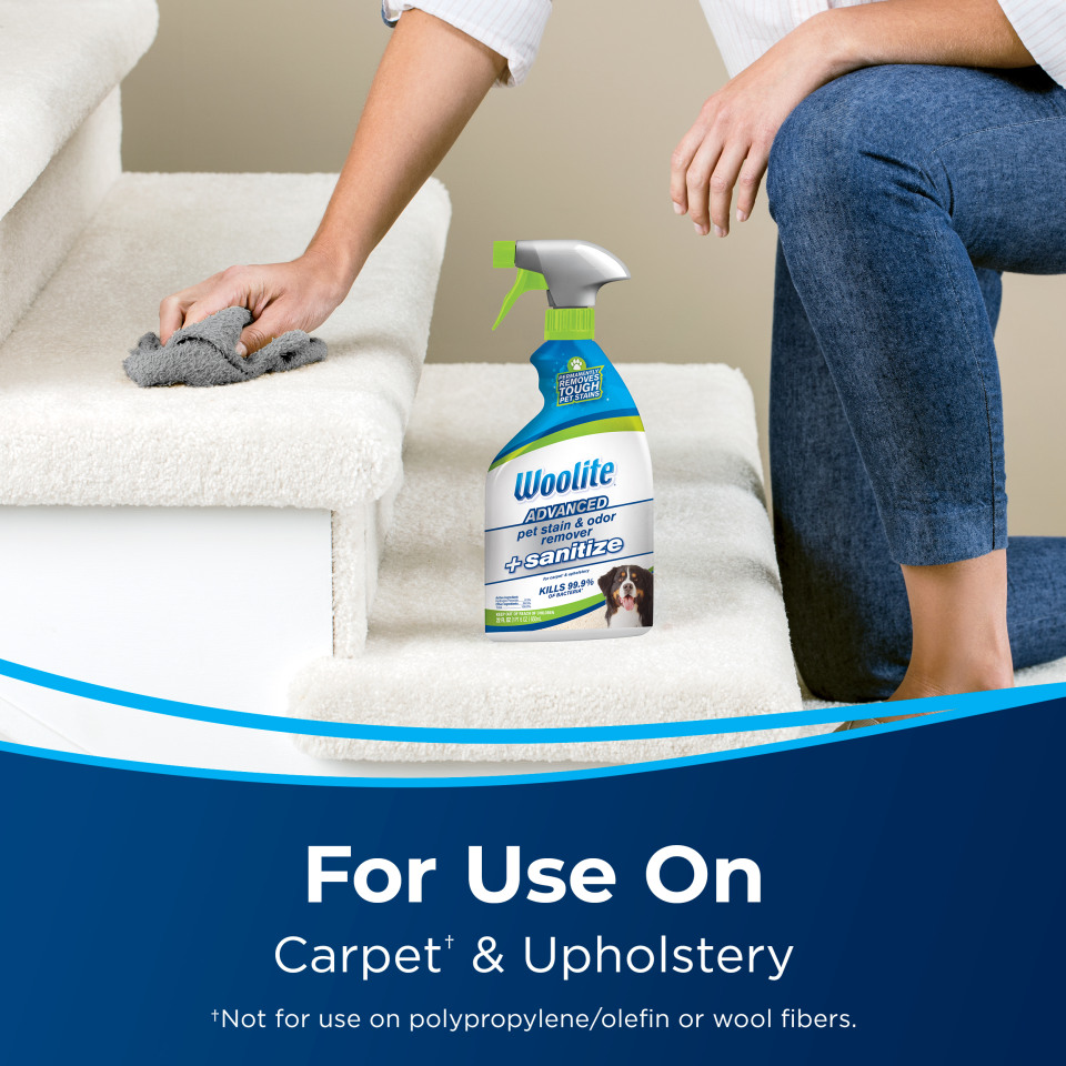 Pet Stain Carpet & Upholstery Cleaner