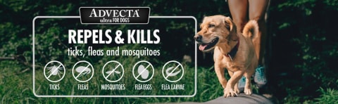 advecta 3 application
