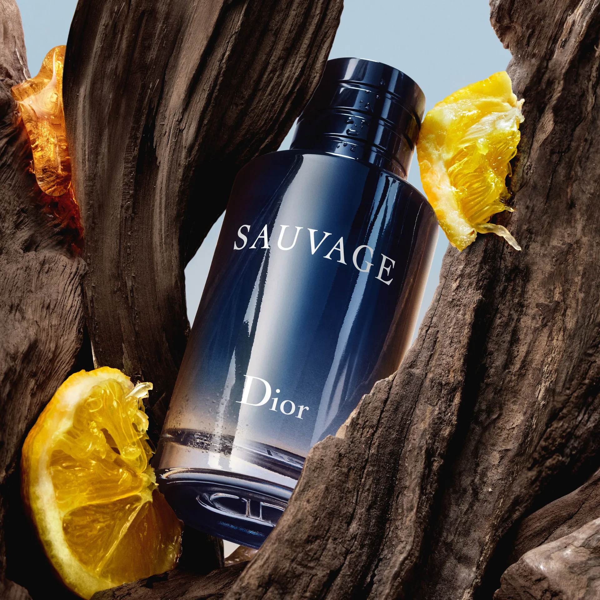 Dior Sauvage Mens Eau de Toilette Spray Dillard s