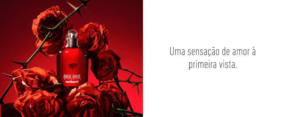 Amor amor sensação de amor à primeira vista