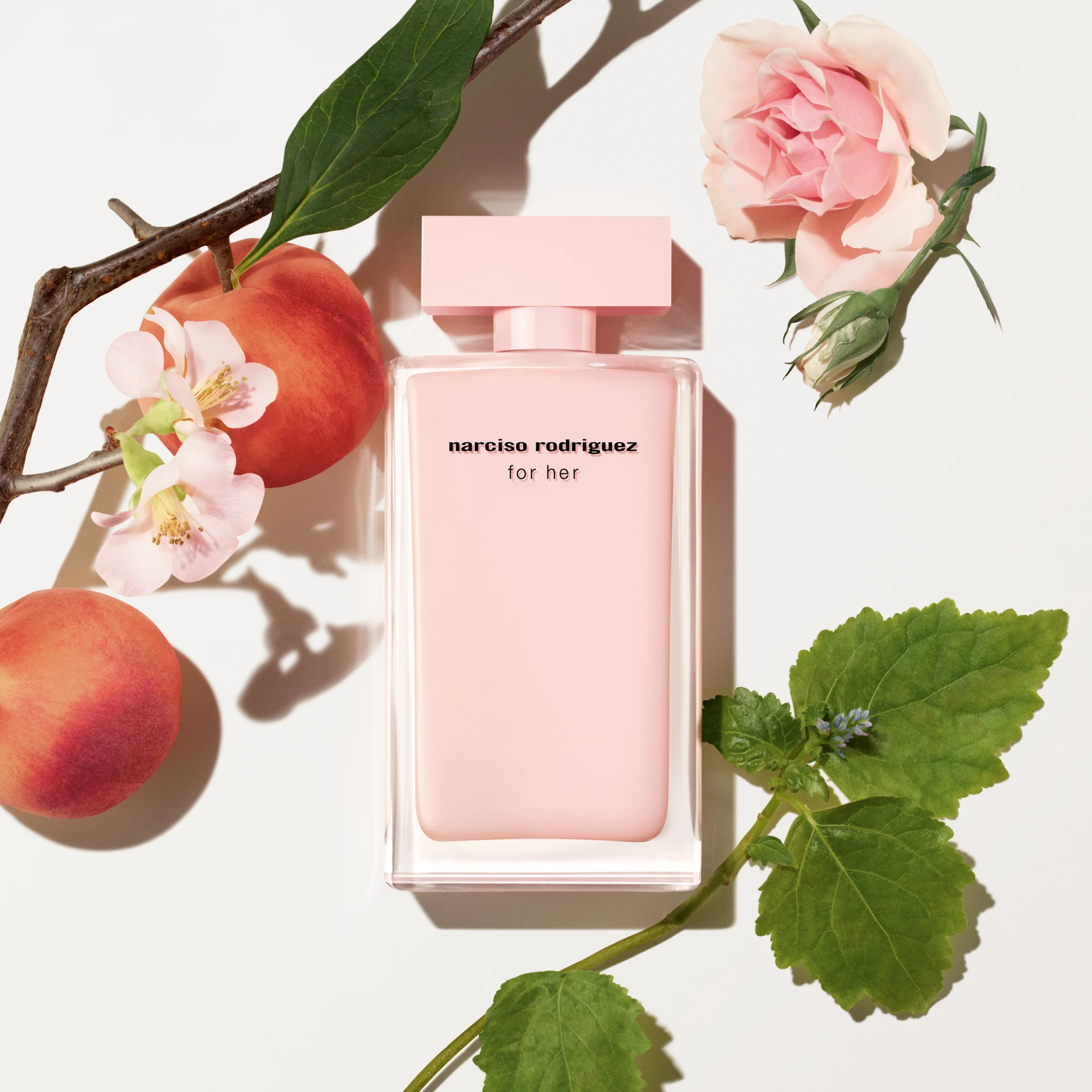 Narciso Rodriguez For Her Eau de Parfum Spray. 5-oz - Macy's