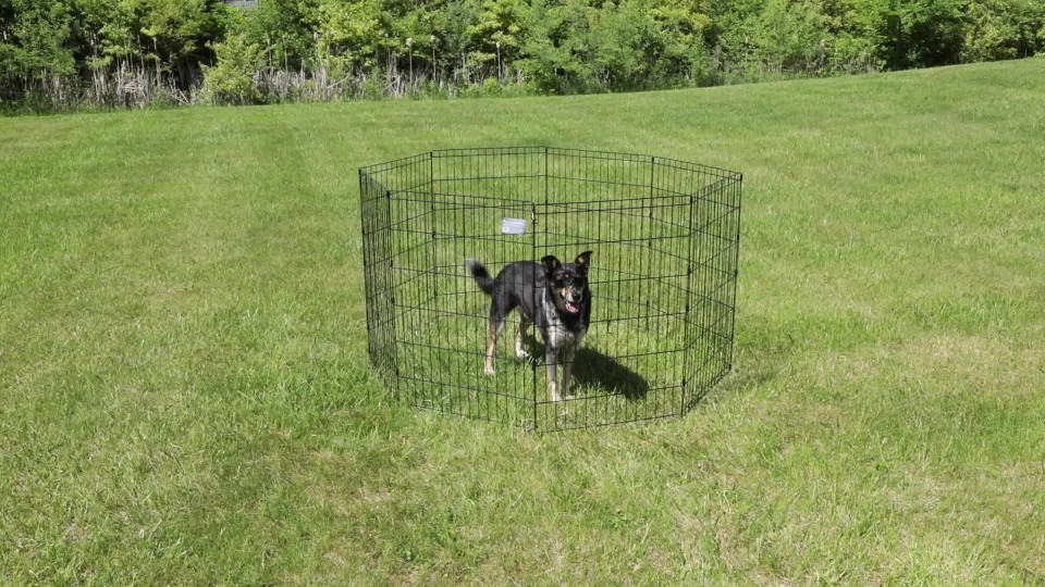 MidWest Home for Pets Metal Exercise Pet Dog Playpen Without Door