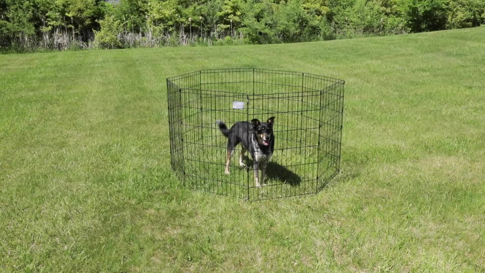 MidWest Foldable Metal Exercise Pet Dog Playpen, without Door, 48"H - image 2 of 8