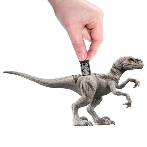 RAMPAGE TOYS DINOS 3体セット Amazon.com: Mattel Jurassic World Ruthless Rampagin Allosaurus