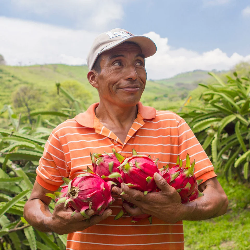 Pitaya Dragon Fruit Smoothie Packs, 4 ct | Meijer