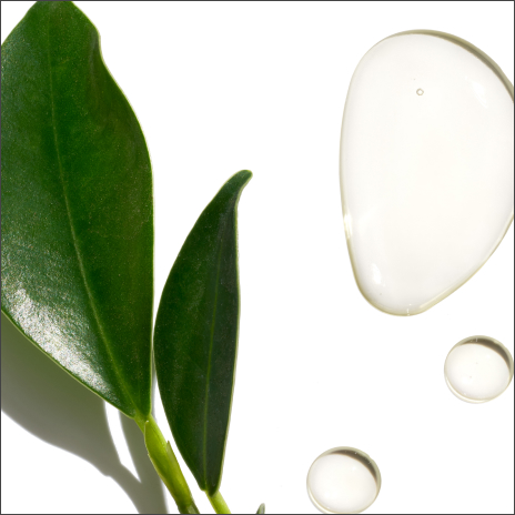 Tea tree oil