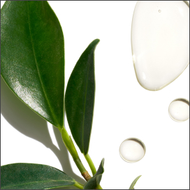 Tea tree oil - Reduces flakiness and soothes itchiness while supporting healthy hair growth