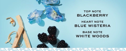 TOP NOTE BLACKBERRY  HEART NOTE BLUE WISTERIA  BASE NOTE WHITE WOODS