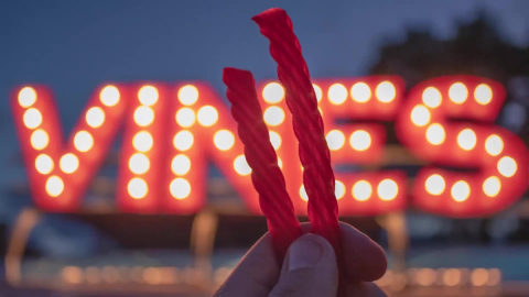  Red Vines Twists, Black Licorice Flavor, 3.5LB Bulk Tub, Old  Fashioned Soft & Chewy Candy : Everything Else