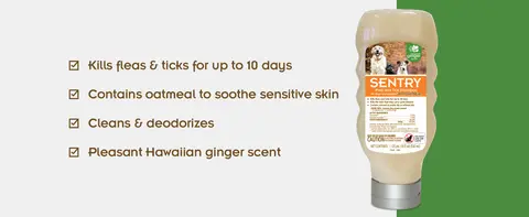 Sentry oatmeal flea and tick shampoo sales