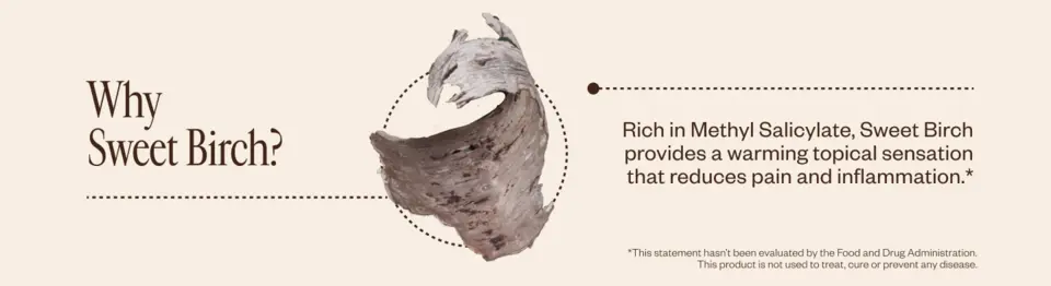 Why Sweet Birch? Rich in Methyl Salicylate, Sweet Birch provides a warming topical sensation that reduces pain and inflammation.*  *This statement hasn’t been evaluated by the Food and Drug Administration. This product is not used to treat, cure or prevent any disease.