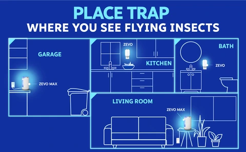 Place Trap Where You See Flying Insects
