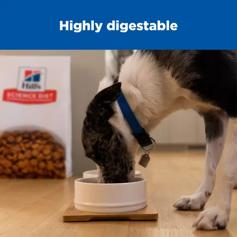 Hill's® Science Diet® Sensitive Stomach Skin Large Breed Adult