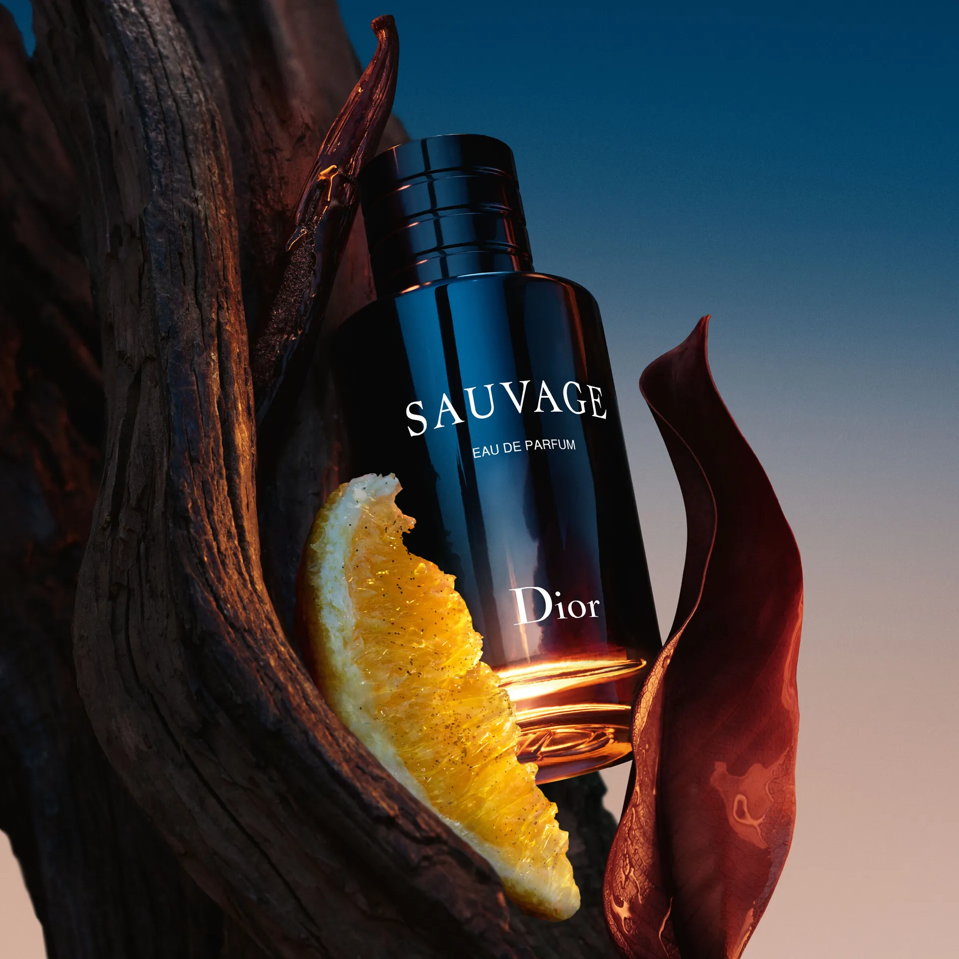 Dior Sauvage Eau de Parfum Dillard s