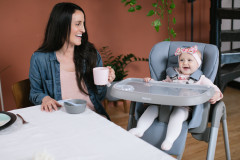 inglesina high chair