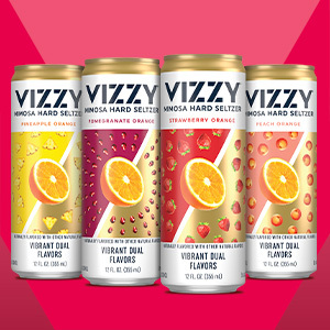 Vizzy Hard Seltzer Variety #2 12 pack/12 oz cans