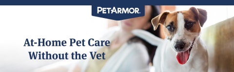 PetArmor Ear Mite Tick Treatment