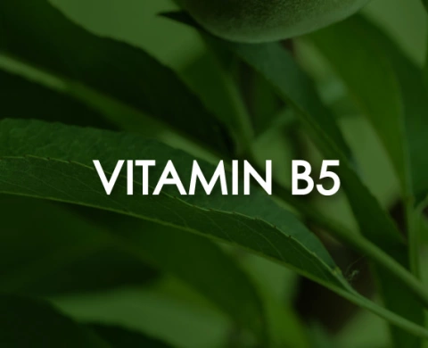 Vitamin B5