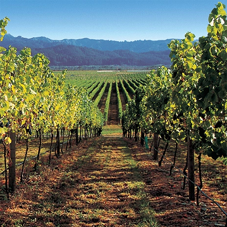 Oyster Bay Sauvignon Blanc White Wine New Zealand, 750 ml Meijer