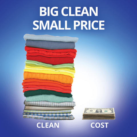 Big clean, small price