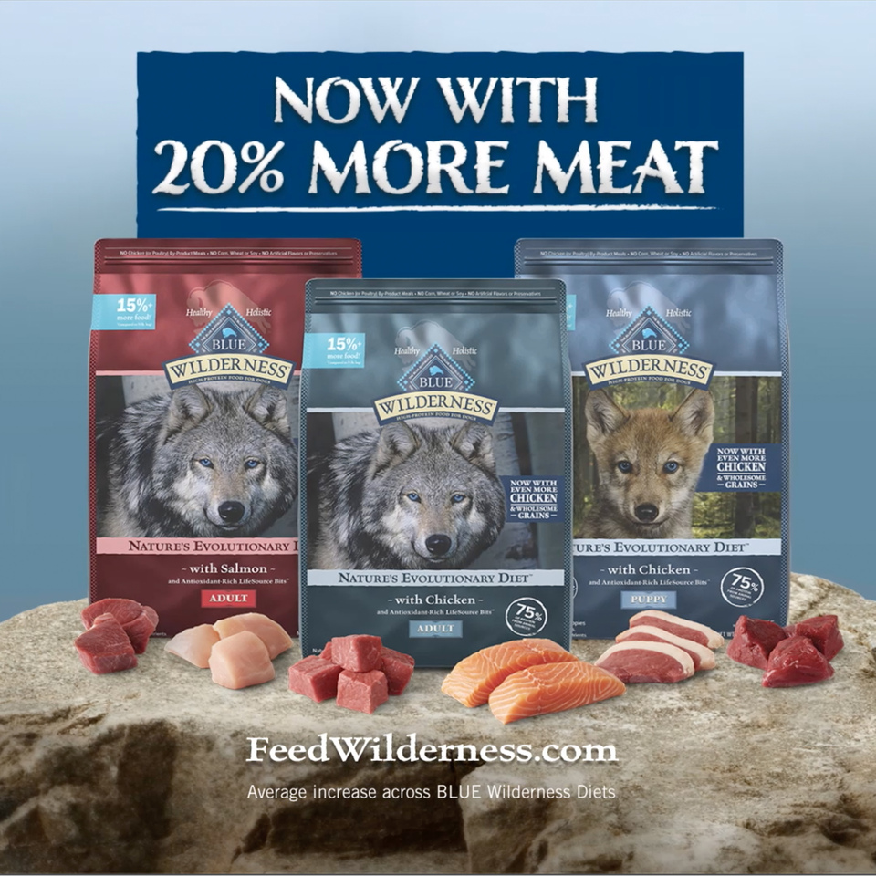 Blue Buffalo Wilderness High Protein Natural Senior Dry Dog Food plus