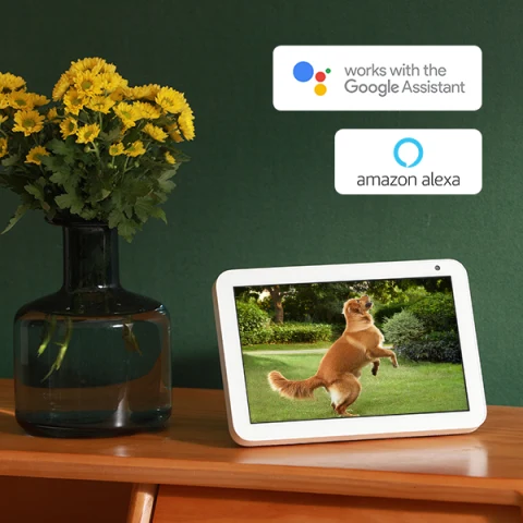 Tablet shows dog playing in backyard as captured by SoloCam S230 when requested from Google or Amazon Alexa assistants.