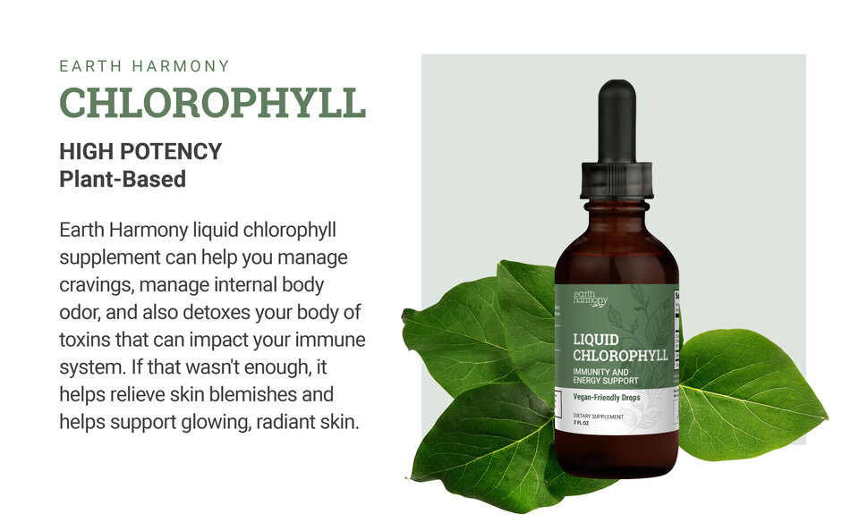 Liquid Chlorophyll Drops - Peppermint Flavor - 2 fl oz - Walmart.com