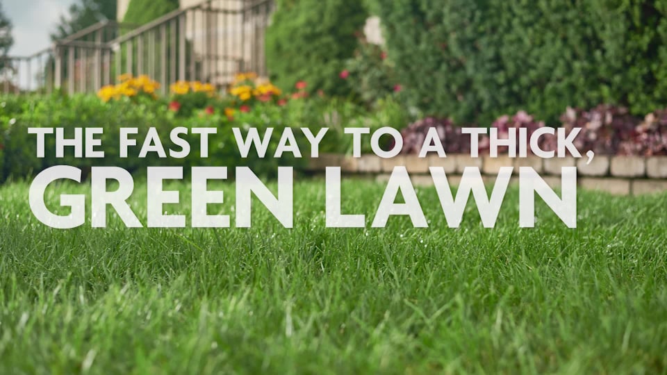 thumbnail video image 2 of Miracle-Gro 1001834 Water Soluble 5 lbs Lawn Food, 2 of 6