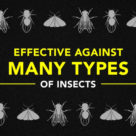 effective against many types of insects