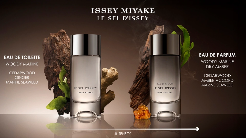 ISSEY MIYAKE LE SEL D'ISSEY 50mL　開封品 Perfume Le Sel Dissey Issey Miyake Eau de Toilette Masculino
