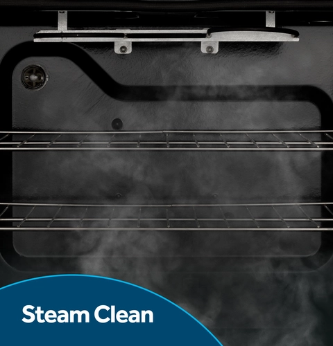 Feature Steam Clean