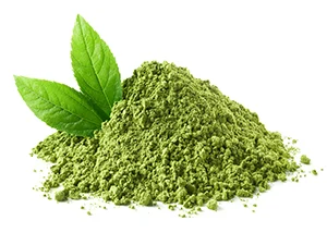 GREEN TEA EXTRACT