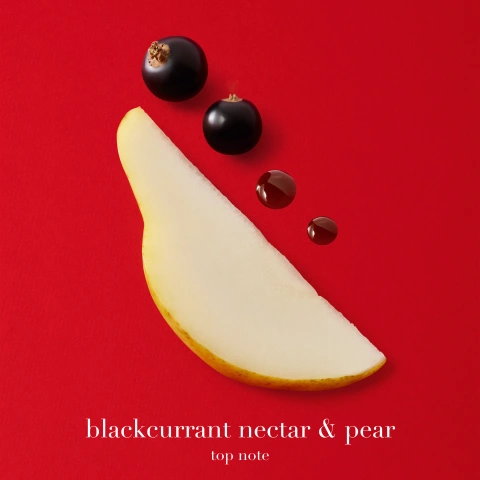 TOP NOTE: BLACKCURRANT NECTAR &amp; PEAR