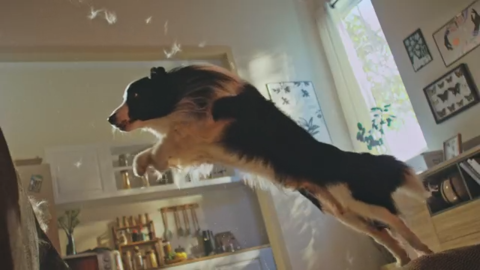 thumbnail video image 2 of eufy L60 Robot Vacuum with Self Empty Station, Hair Detangling Technology, Up to 60 Days Hands Free Cleaning, 5,000 Pa Suction, Remove Hair, Dust, 2 of 6