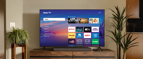 Roku 55