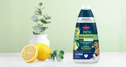 Fresh Lemon-Eucalyptus Scent