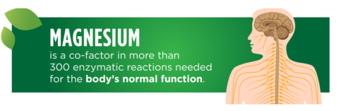 Magnesium helps body's normal function