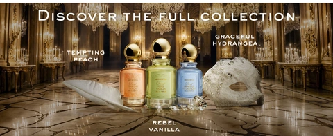 Discover Full Collection