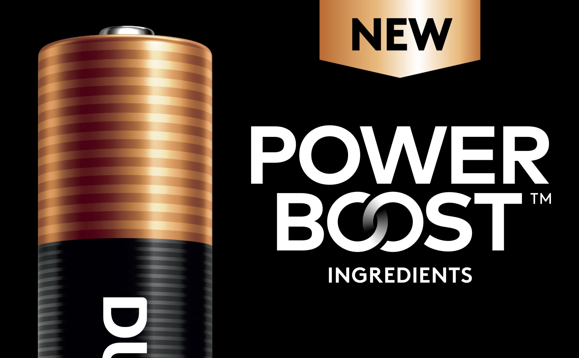 Duracell Coppertop Alkaline AAA Batteries, 40count WePaK 4 U Inc.