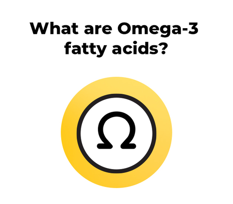 What are omega-3 fatty acids?