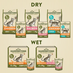 harringtons cat biscuits