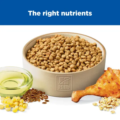 Hill's Science Diet Adult Light Small Bites Chicken Dog Food, 30