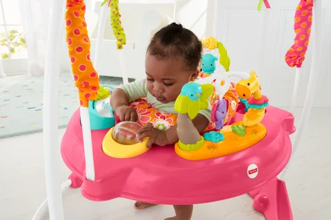 Fisher Price Jumperoo Pink Petals Sam s Club