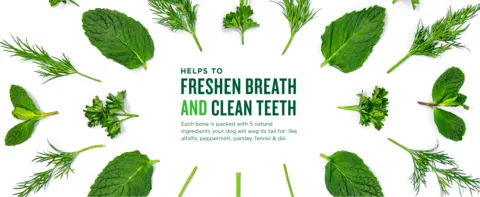 Helps to freshen breath and clean teeth. Each bone is packed with 5 natural ingredients your dog will wag its tail for: Like alfalfa, peppermint, parsley, fennel and dill.