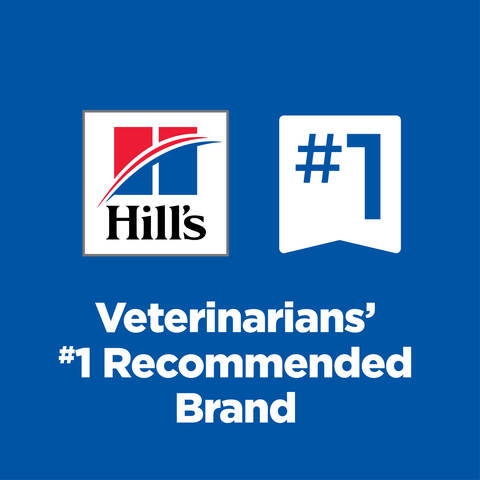 Hills urinary hairball control best sale