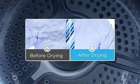 潮湿警报 Damp Alert